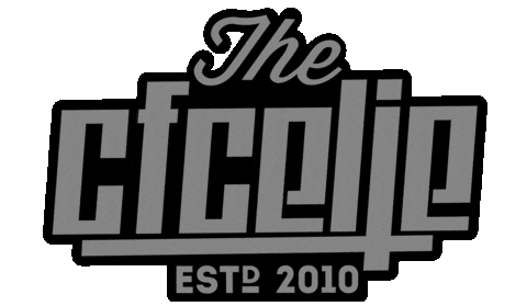 CFCELJE giphyupload crossfit bootcamp zima Sticker