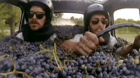 GIF de dois homens usando capacete e dirigindo um carro, cheio de uvas ao seu redor.