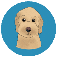 Wink Doodle Sticker