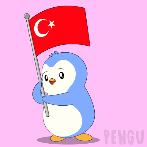 Star Penguin GIF by Pudgy Penguins