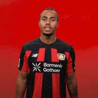 Lets Go Bundesliga GIF by Bayer 04 Leverkusen