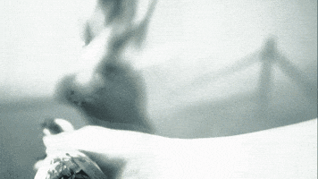 Dont Leave Me Supermassive Games GIF by BANDAI NAMCO Entertainment