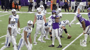 Minnesota Vikings Football GIF by NFL