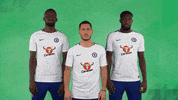 chelsea fc yes GIF by Carabao UK