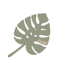 Plant Monstera Sticker