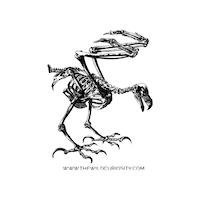Natural History Illustration Sticker by The Wild Curiosity
