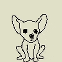 dog GIF by Dan Anthony Kelly