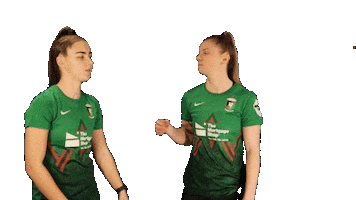 Northern Ireland Football Sticker by Glentoran Women FC