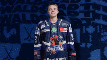 Celebration Hockey GIF by Iserlohn Roosters