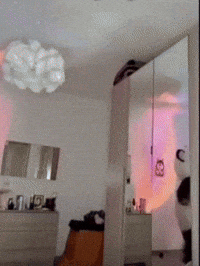 Aladdin Im Here GIF