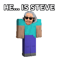 Video Games Steve Sticker