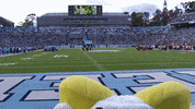 North Carolina Football GIF by UNC Tar Heels