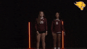 Volleyball GIF by CUCougars