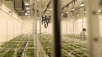 Plant Working GIF by Exclusive Brands