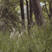 Ttrpg Climb GIF by zoefannet