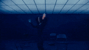 Gotoyourheadvid GIF by Lola Brooke