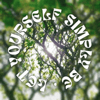 M-a-ex green sun sunshine present GIF