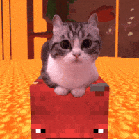 SingNO2 komaru minecraft cat GIF