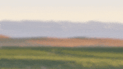 KarasWines armenia gini karas karas wines GIF