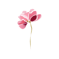 Pink Flower Sticker