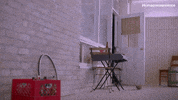Food Drink Bird GIF by Kim's Convenience