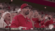 Tampa Bay Buccaneers Football GIF by NFL