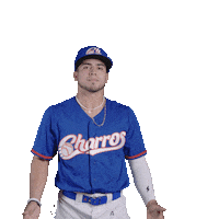 Sport Baseball Sticker by Charros de Jalisco