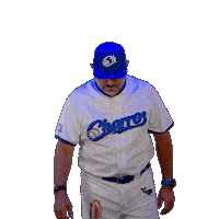 Charros Lmb Sticker by Charros de Jalisco