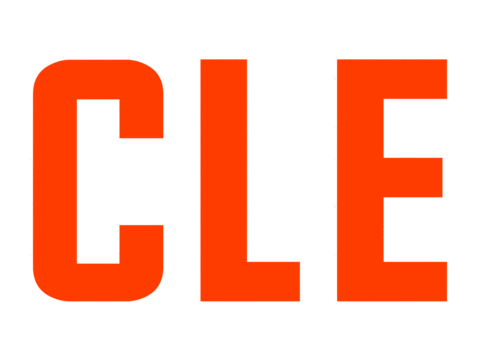 Cleveland Browns Football Sticker