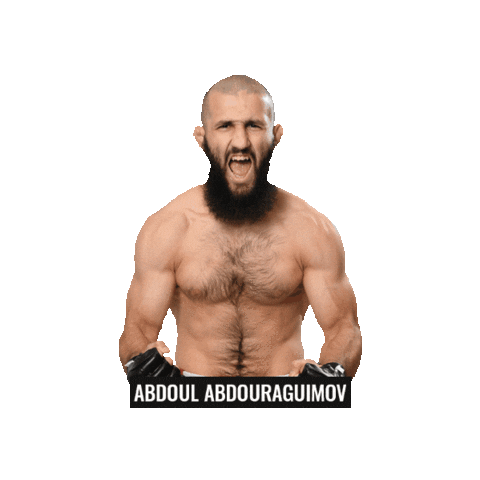 Mixed Martial Arts Mma Sticker by BRAVE Combat Federation