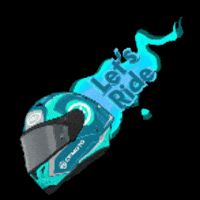 Cfmoto GIF by BWImport