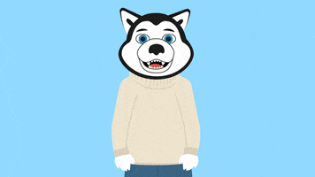 NortheasternUniversity northeastern northeasternuniversity northeastern university nuexperience GIF