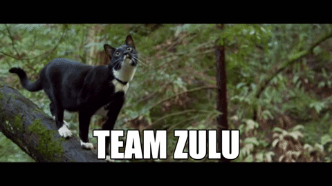 GrayHatLLC giphygifmaker zulu catdad catdaddies GIF