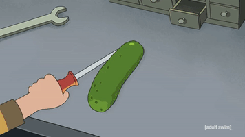 I Turned Myself Into A Pickle!