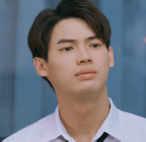 Amouracher giphyupload win bunny rabbit GIF