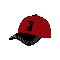 Baseball Tj Sticker by Toros de Tijuana