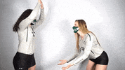 Iwutitans Tgoe GIF by iwusports
