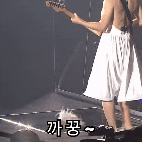 Sj 까꿍 GIF