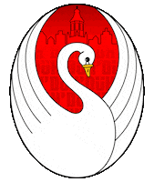 Carnaval Sticker by Kraonige Zwaone