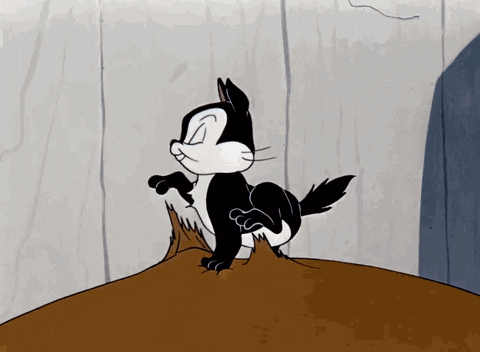 No_Pin6014 giphyupload GIF