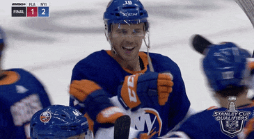 Ice Hockey GIF by NHL