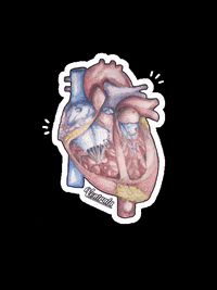 Ventrala love heart romance science GIF