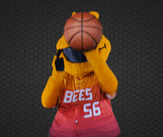 SaltLakeBees basketball nba baseball ball GIF