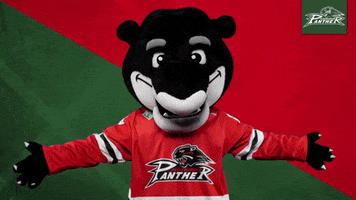Hockey Mascot GIF by Augsburger Panther Eishockey GmbH