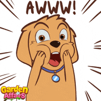 Dog Omg GIF by GardenAffairs