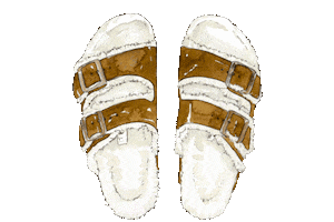 Winter Friday Sticker by BIRKENSTOCK