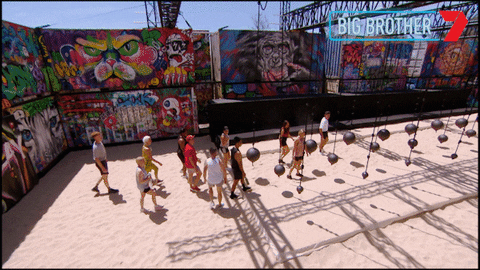 Wrecking Ball Challenge GIF by Big Brother Australia