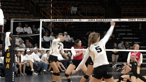 volleyball GIF by University of Iowa Hawkeyes Athletics