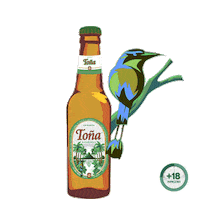 Beer Cerveza Sticker by Compañía Cervecera de Nicaragua