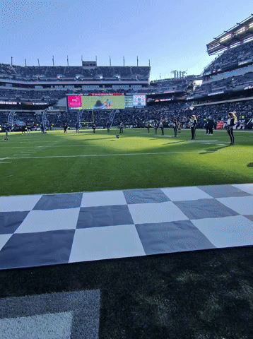 CorgsOfWar corgi corgiracing corgirace corgsofwar GIF